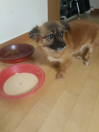 음화님이 올린 리뷰 사진 1