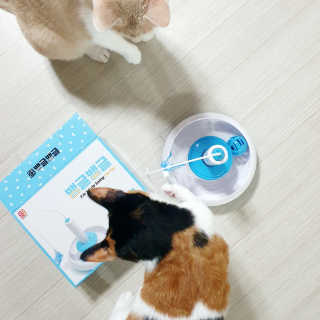 JENNY님이 올린 리뷰 사진 2