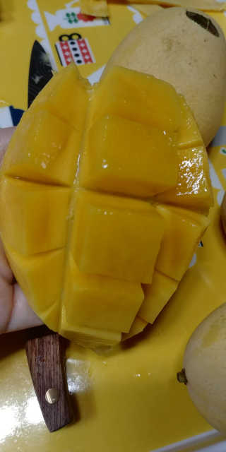꼬마와꼬마님이 올린 리뷰 사진 2
