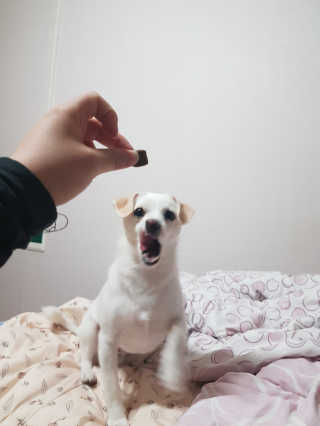 조은영님이 올린 리뷰 사진 2