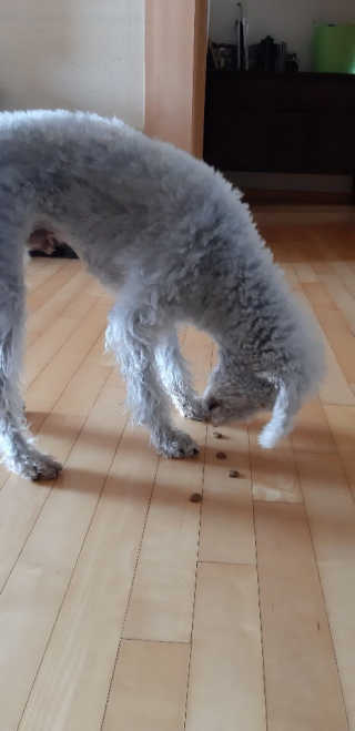 하루콩콩님이 올린 리뷰 사진 2