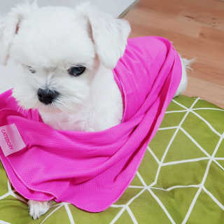 ddorry님이 올린 리뷰 사진 2