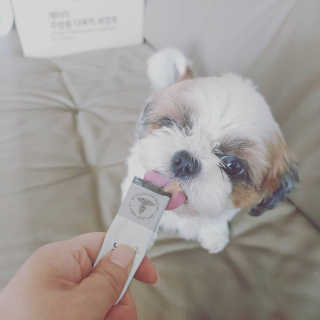 우정야님이 올린 리뷰 사진 4