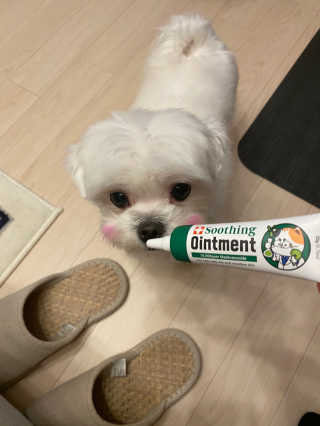 황방울이님이 올린 리뷰 사진 3