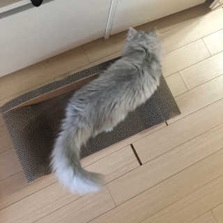 슬공주님이 올린 리뷰 사진 3