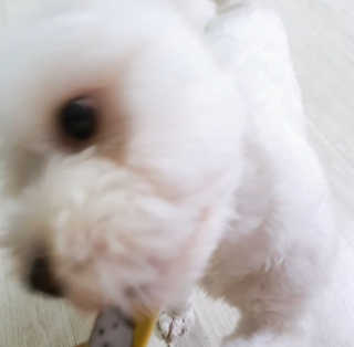 나린마마님이 올린 리뷰 사진 4