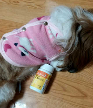 하나님이 올린 리뷰 사진 2