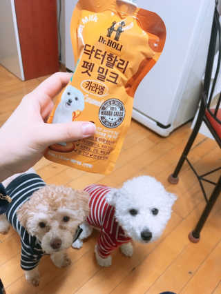 닥터할리펫밀크 8종 — 5점을 준 리뷰어가 2019년 1월 올린 사용 사진