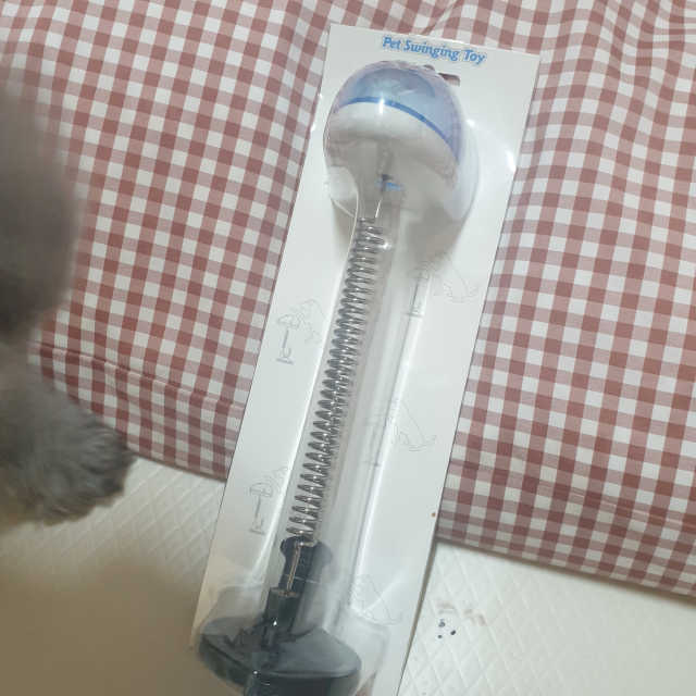 옥희독희 스윙토이 리뷰 사진