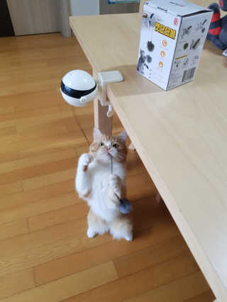 롤리팝님이 올린 리뷰 사진 1