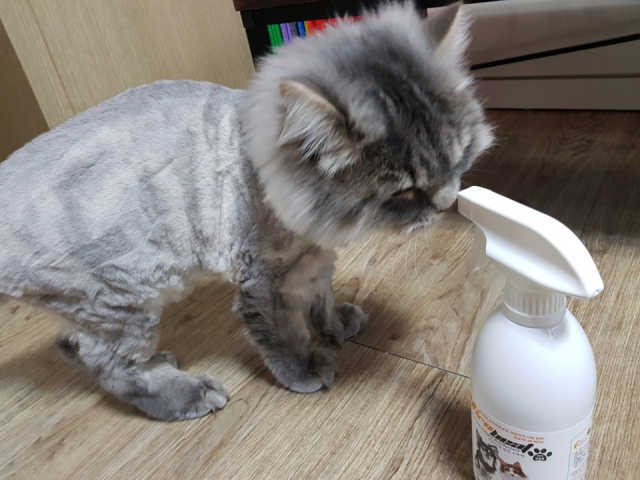 바이로비트 반려동물용 살균소독제 리뷰 사진