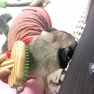 DasomKwack님이 올린 리뷰 사진 1