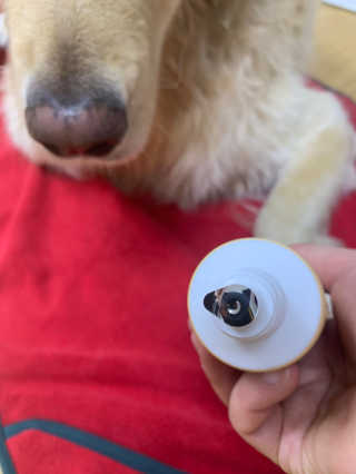 셀럽봉봉님이 올린 리뷰 사진 2