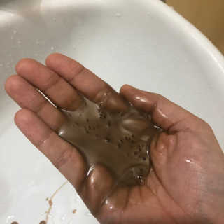 다슈코리아 다슈 단백질 한방 두피 골드 샴푸 500ml +샴푸브러쉬 — 3점을 준 리뷰어가 2019년 5월 올린 사용 사진