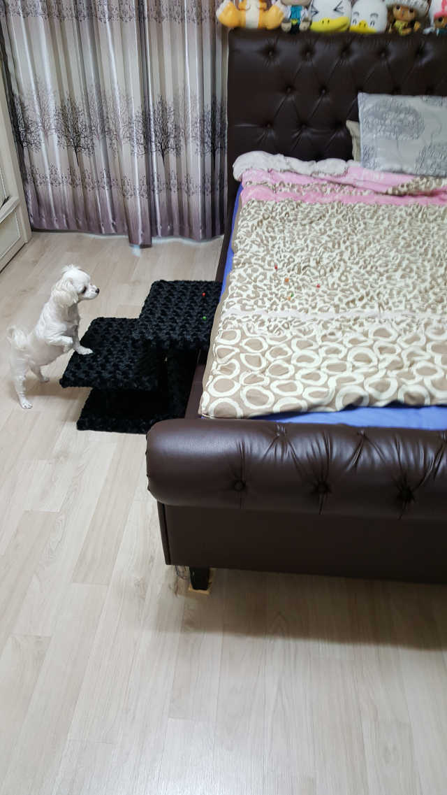 한탭뚝딱 강아지계단 사각형  P-YS001 리뷰 사진
