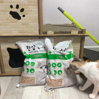 찌응이님이 올린 리뷰 사진 1