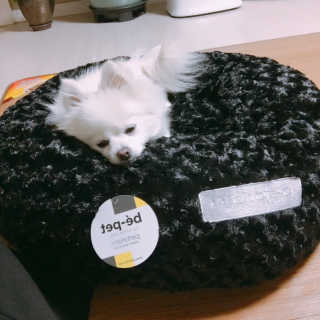 찐님이 올린 리뷰 사진 2