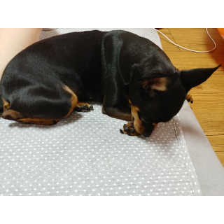 지현아님이 올린 리뷰 사진 3