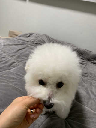 monge8072님이 올린 리뷰 사진 2