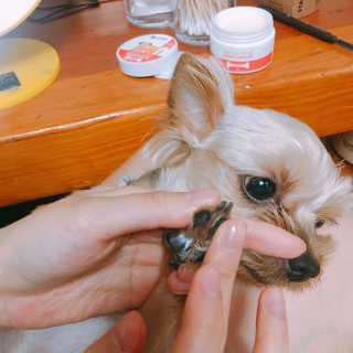 겸또님이 올린 리뷰 사진 2