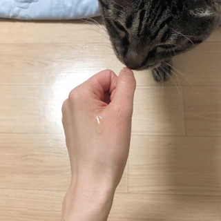 봄봄님이 올린 리뷰 사진 3