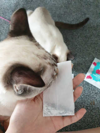 진경님이 올린 리뷰 사진 2