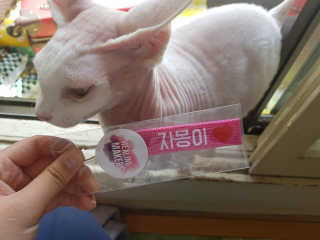마뇨님이 올린 리뷰 사진 1
