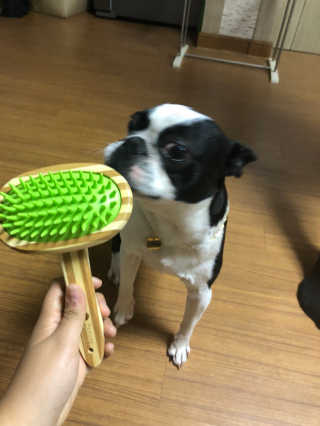 오수빈님이 올린 리뷰 사진 3