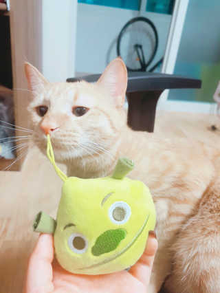 꾜이님이 올린 리뷰 사진 2
