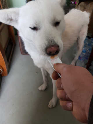Jenny님이 올린 리뷰 사진 3