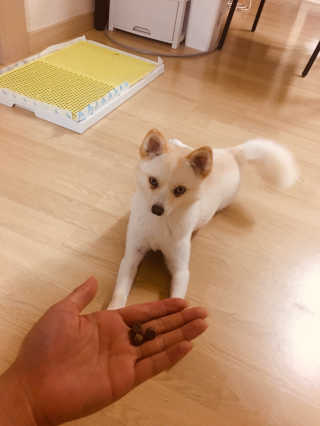배혤님이 올린 리뷰 사진 3