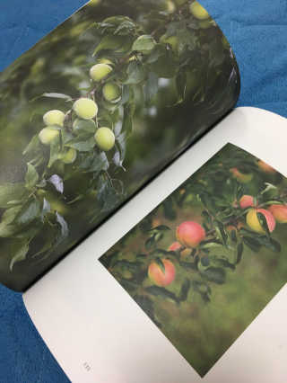 백수님이 올린 리뷰 사진 1