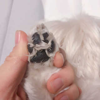 콩순이엄마님이 올린 리뷰 사진 3