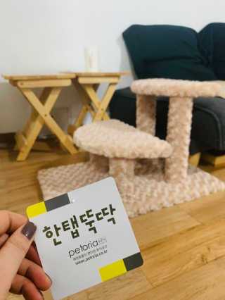 [펫토리아] 한탭뚝딱 강아지계단 BEST 모음 — 5점을 준 리뷰어가 2019년 1월 올린 사용 사진