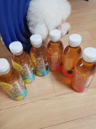 (주)쟈뎅 [쟈뎅] 아워티 500ml （총 6병） — 4점을 준 리뷰어가 2019년 7월 올린 사용 사진