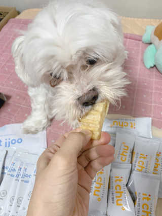 으니부기님이 올린 리뷰 사진 2