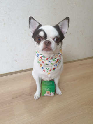 mini unni님이 올린 리뷰 사진 3