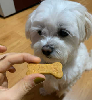 연구yeongu님이 올린 리뷰 사진 4