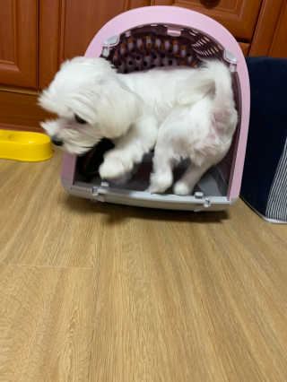 블링데코님이 올린 리뷰 사진 1