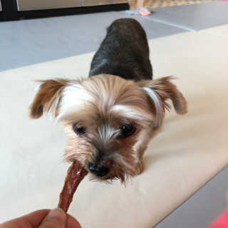 갓짱님이 올린 리뷰 사진 1