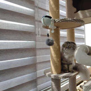 byyooom님이 올린 리뷰 사진 3