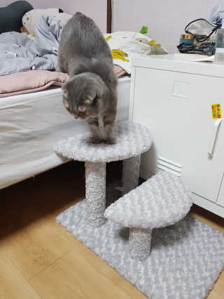 백현지님이 올린 리뷰 사진 3