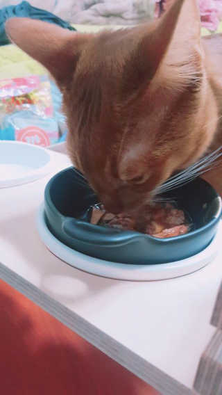 이나님이 올린 리뷰 사진 3