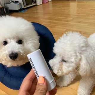 성화꽃님이 올린 리뷰 사진 3