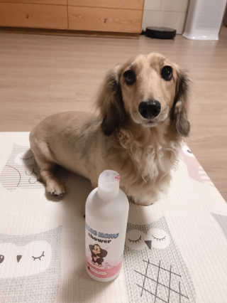 bora6943님이 올린 리뷰 사진 1