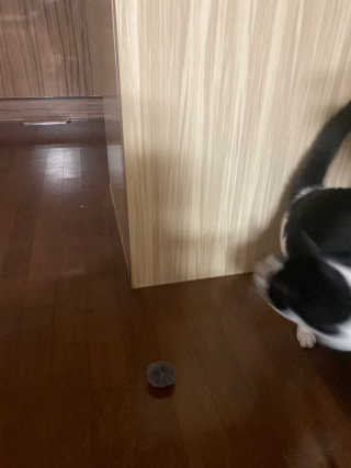데이바이미님이 올린 리뷰 사진 3