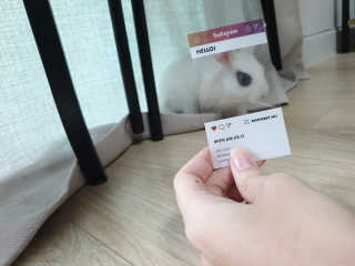 렌렌님이 올린 리뷰 사진 3