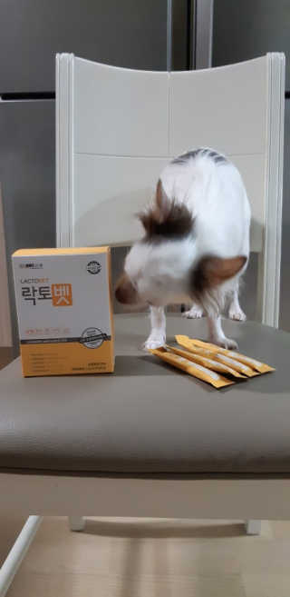 찡님이 올린 리뷰 사진 2
