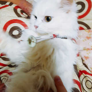 Isabelle Lee님이 올린 리뷰 사진 2