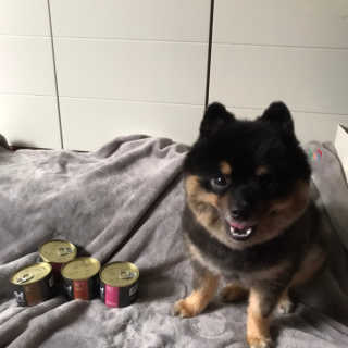 정아님이 올린 리뷰 사진 1